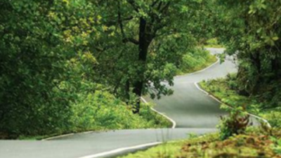 Goa: Sanguem MLA backs stir against eco-sensitive zone
