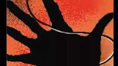 Bharat Jodo Yatra: 4 suffer 'minor electric shock' while tying flags to pole in Karnataka