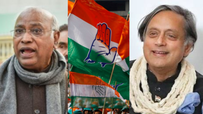 Congress set for historic election, to choose new president on October 17: All you need to know
