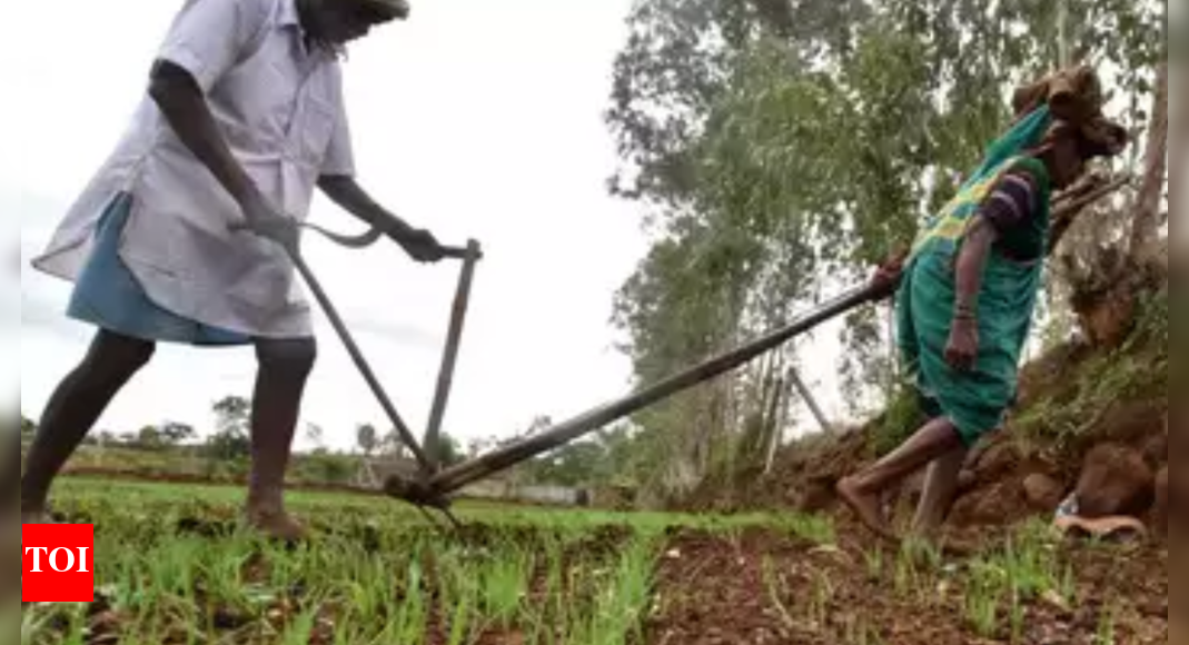 Revise Paddy Procurement Policy, Say Farmers | Trichy News - Times of India
