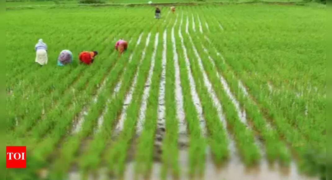 Modi releases 12th installment of Rs 16,000 crore to eligible farmers ...