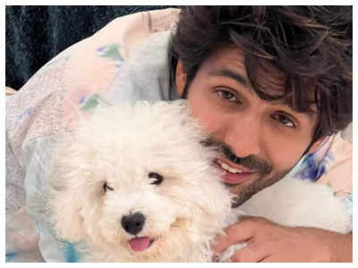 Kartik Aaryan refers to his pet Katori as a "spoiled kid" as he posts a cute video of her sitting on the top of his luxury car — WATCH