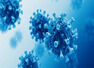 IIT Delhi led researchers develop COVID vaccine candidate