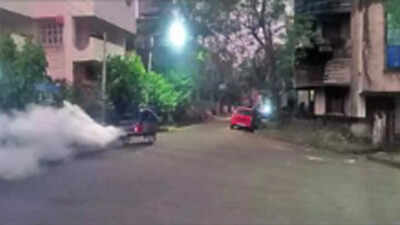 Cases rise 2.5 times in new south Kolkata dengue belts