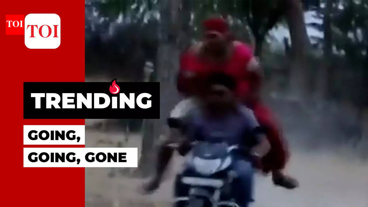 viral video: Viral video: Rash driving- don’t try this at home