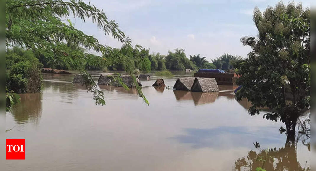 400 Houses, Paddy Crop Submerged | Trichy News - Times of India