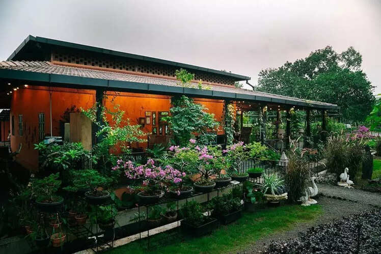 Tooth Mountain Farms in Karjat