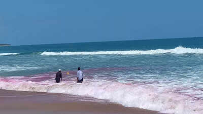 ISRO, AU, NCES study for avoid drowning deaths in Vizag beaches