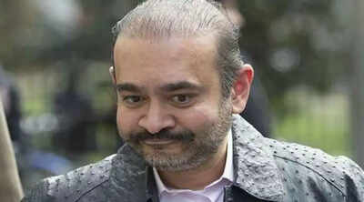 Court allows ED to seize Nirav Modi's assets worth Rs 500cr