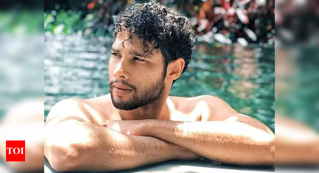 Siddhant Chaturvedi puts up a shirtless selfie, netizens can’t stop gushing – Pic inside – Times of India