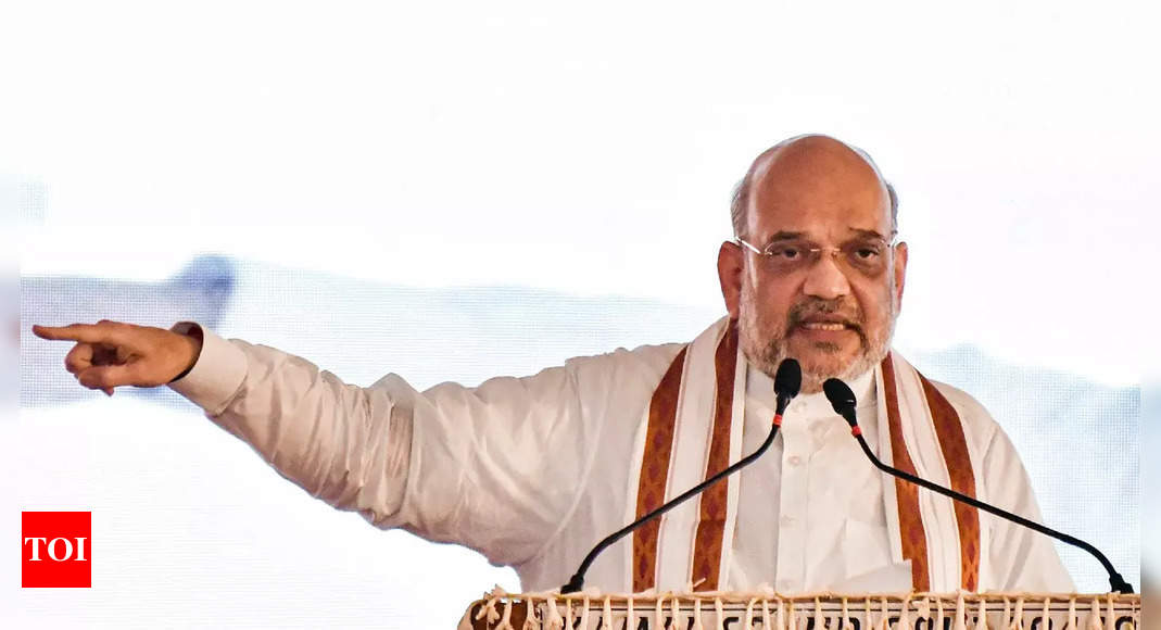 ‘They want to make Delhi AAP-nirbhar but … ,’ says Amit Shah | India News – Times of India