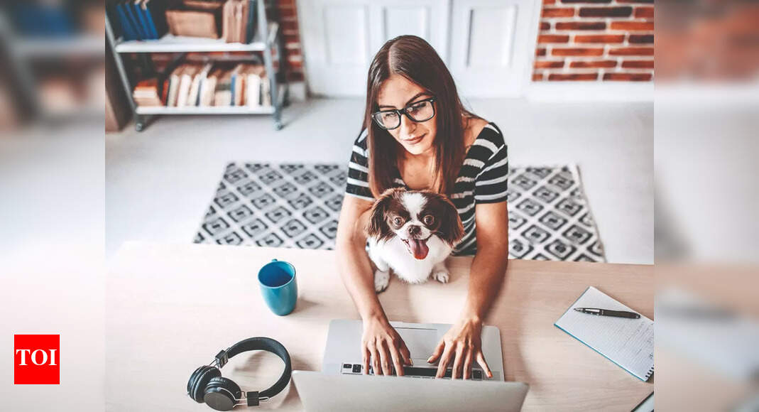 Hybrid work: How pets can make your tasks easier - Times of India