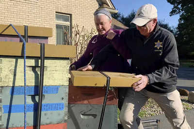 US woman releases swarm of bees on officers serving eviction notice ...