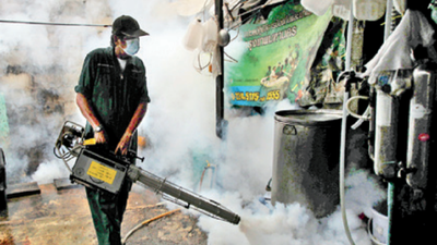 Ludhiana: Dengue spike in district, cases double in 19 days