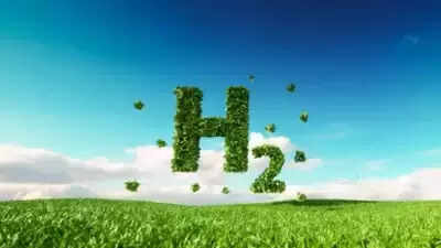 IIT Delhi's Research and Innovation Park holds workshop on production and usage of green energy