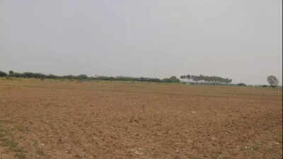 Bihar to distribute 1.6L acres of Bhoodan land
