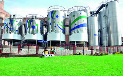 Amul Dairy hikes milk procurement price by 20 per kilo fat for farmers