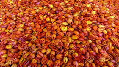 Tamil Nadu: Nutmeg farmers form farmer producer organisation, reap rich reward