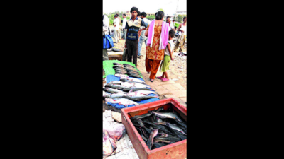 Karnataka: Export of frozen fish yet to take off from MIA