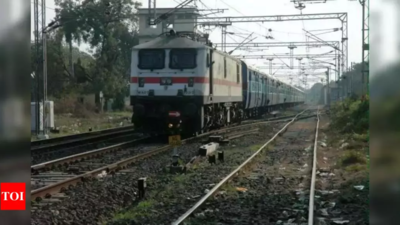 Madhya Pradesh: Railways to run 3 festival special trains amid Diwali rush