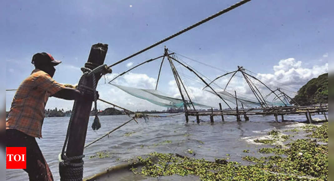 Fort Kochis: Project To Restore Fort Kochi's Iconic Fishing Nets Underway