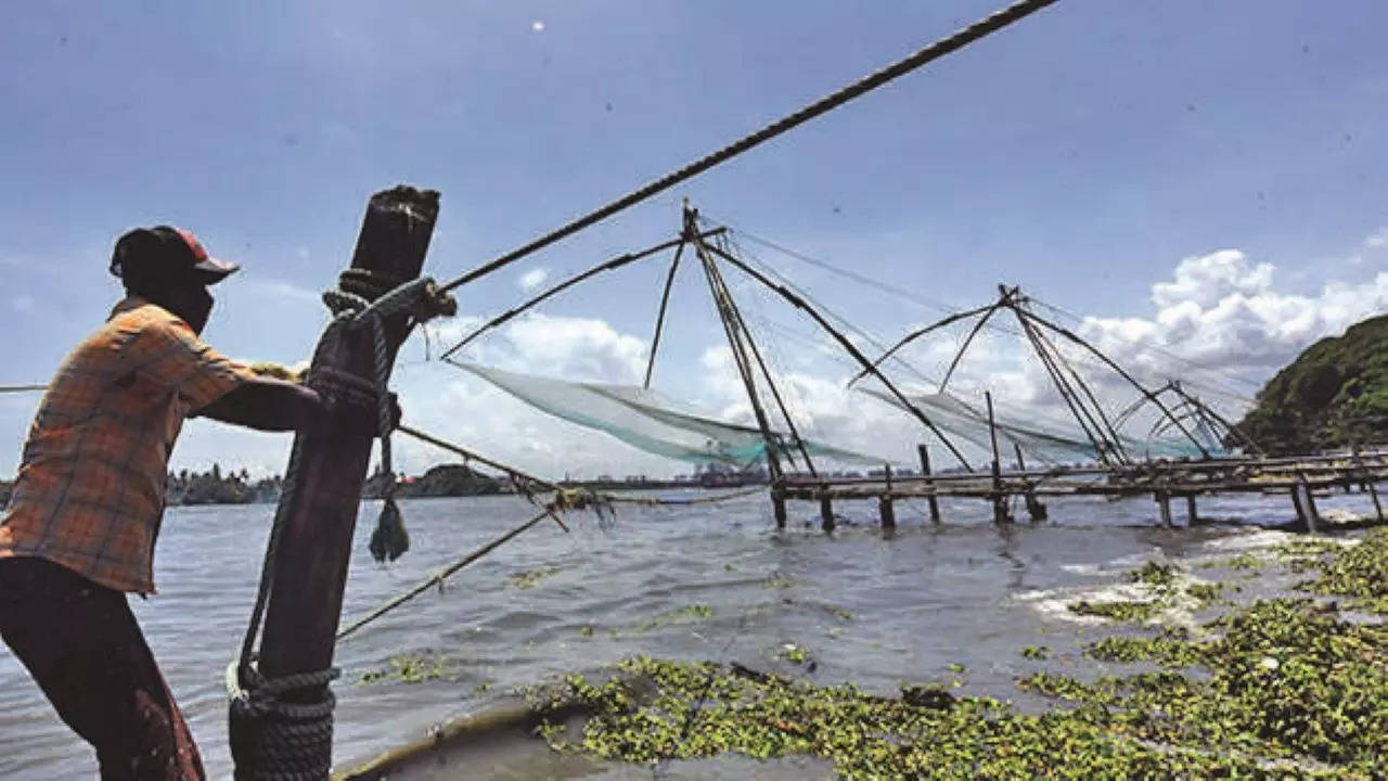 Fort Kochis: Project To Restore Fort Kochi's Iconic Fishing Nets