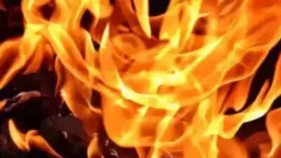 Maharashtra: Firecracker shop goes up in flames at Palghar, no casualties
