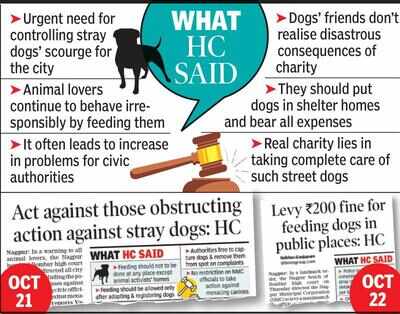 Dog lovers act irresponsibly, cause big harm to society: HC