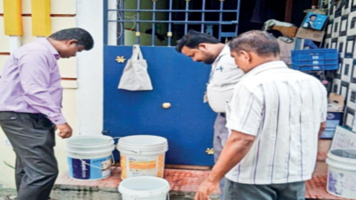 Chennai: Over 10,000 houses found breeding mosquitoes