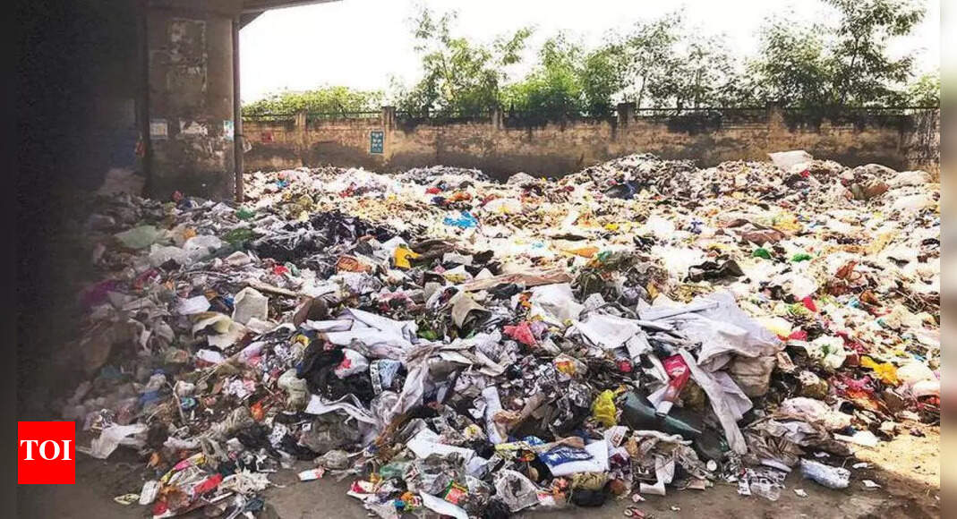 Open garbage dump near Clock Tower a 'sore spot' in the ludhiana