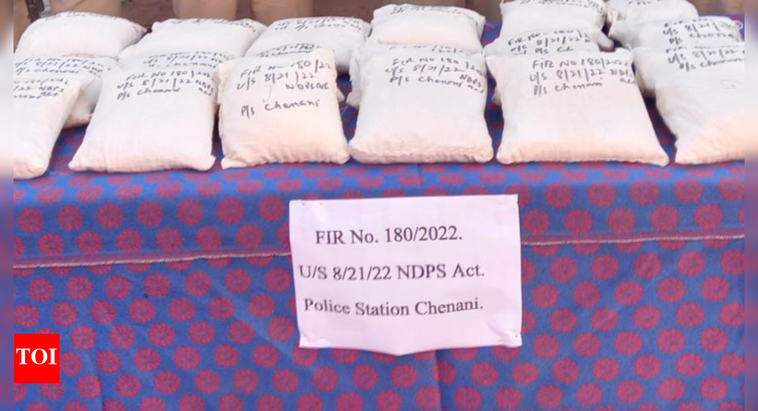 Punjab: Punjab-based trucker held with 21.5 kg of heroin in J&K's ...