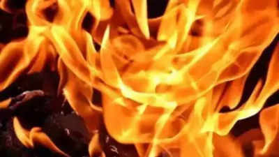 Andhra Pradesh: 2 workers charred to death in fire mishap at crackers' stalls in Vijayawada