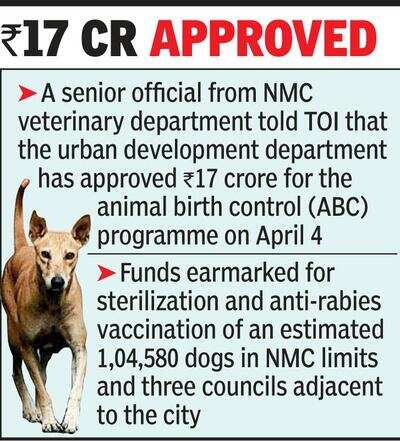 Besides city, ABC procedure may cover Wadi, Kamptee & Hingna