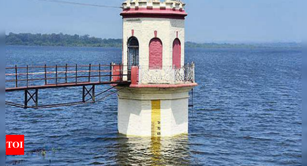 Hesaraghatta Lake: After 28 years, Bengaluru's century-old Hesaraghatta ...