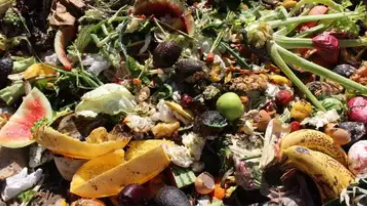 Delhi: Why food waste recycling project is making a buzz | Delhi News -  Times of India