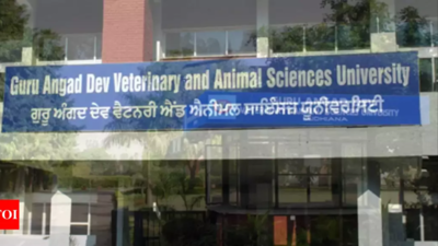 24x7 facility at Gadvasu for injured pets, birds