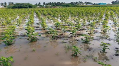 West Bengal worries about damage to crops, effect on land fertility