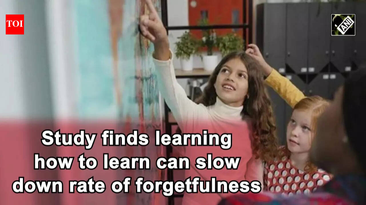 Study finds learning how to learn can slow down rate of forgetfulness