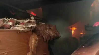 Fire breaks out at godown in Mumbai's Sakinaka