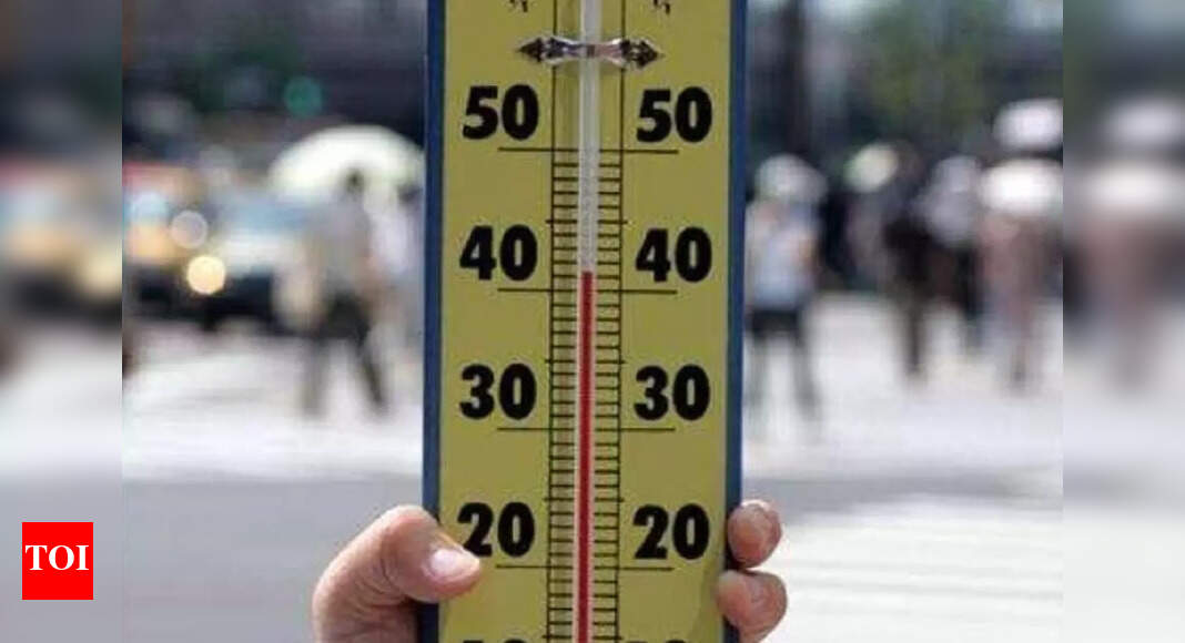 Heat-linked deaths among 65+ up 55% since 2000-04: Lancet