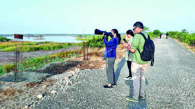 Nat’l bird photography competition in Dec
