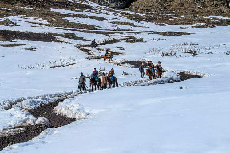 Mule ride in Aru Valley