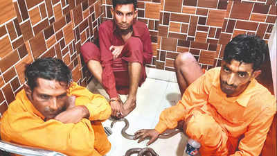 West Bengal: Trio held for scaring people with snakes & looting them in Lake Town