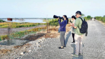 Gujarat: National bird photography competition in December