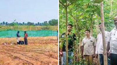 Coimbatore: Villagers breathe life into 40 cents of barren land