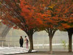 Women look out over the Potomac River in Washington