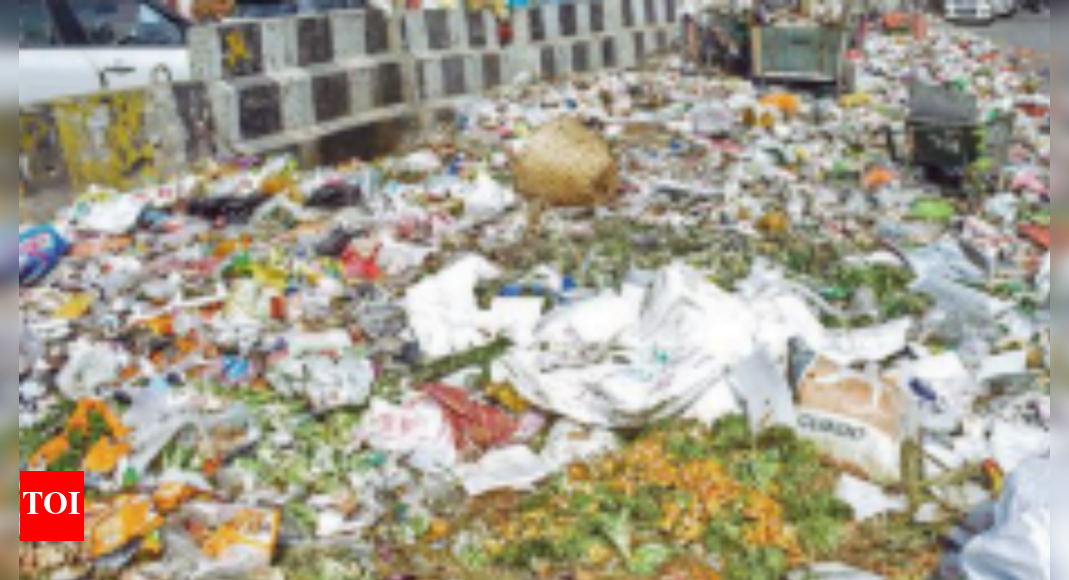 Waste Piles Up In City As Sanitation Workers Extend Strike Till ...