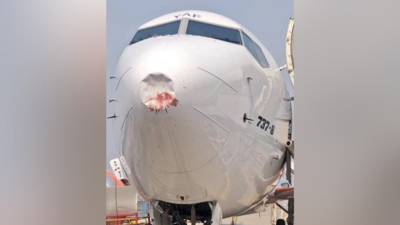 Akasa Air Ahmedabad-Delhi suffers bird hit during take off, lands safely at IGIA