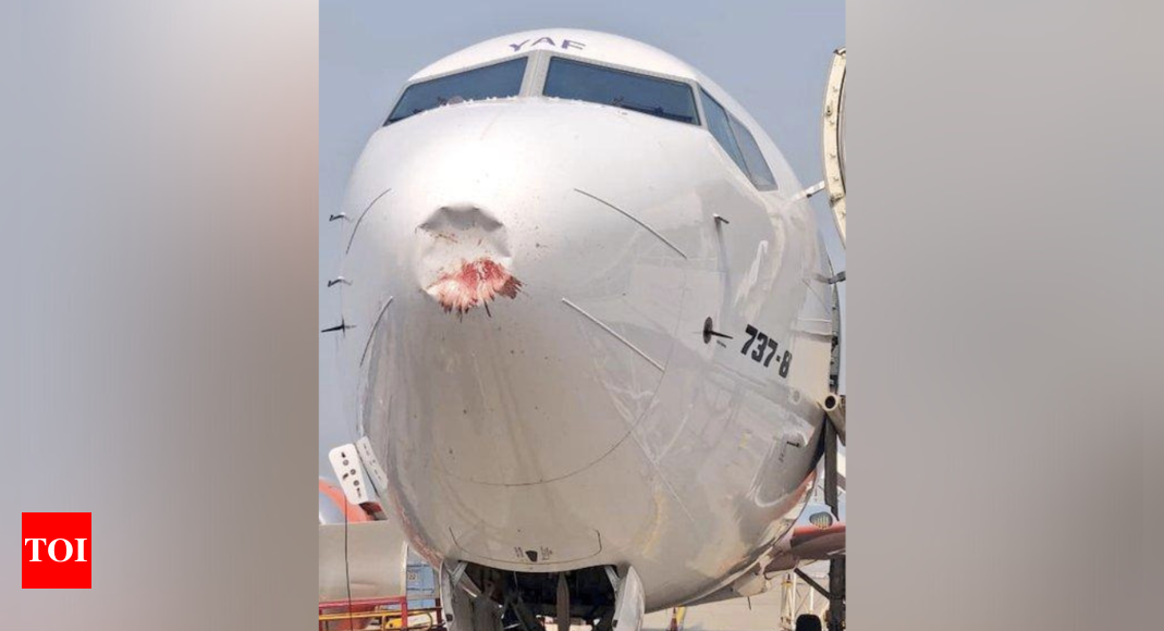 Akasa Air Ahmedabad-Delhi suffers bird hit, lands safely – Times of India