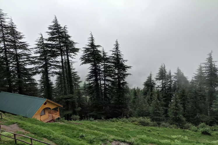 ​Mid Conifer Cottage, Dalhousie